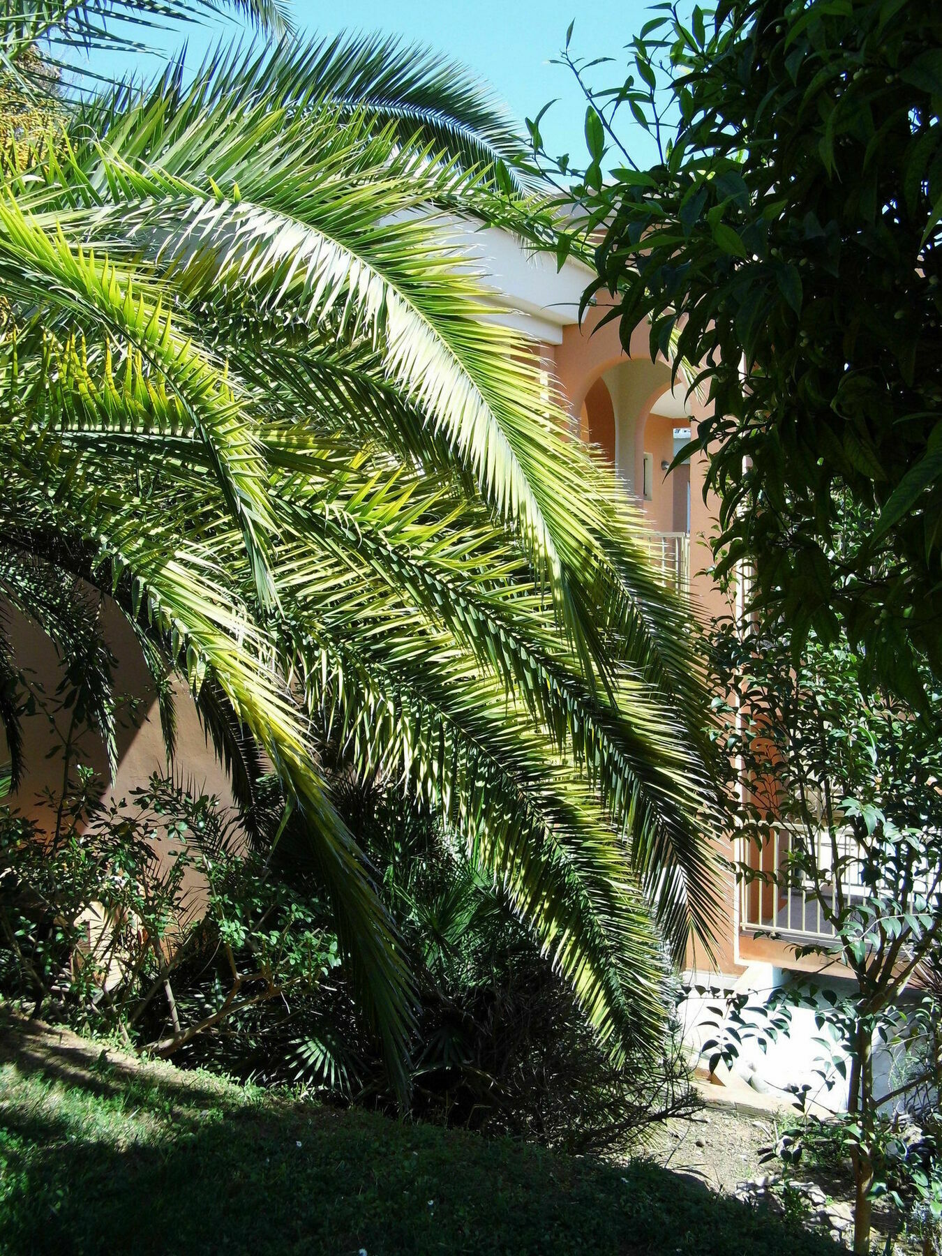 Anis Hotel Nice Exterior foto