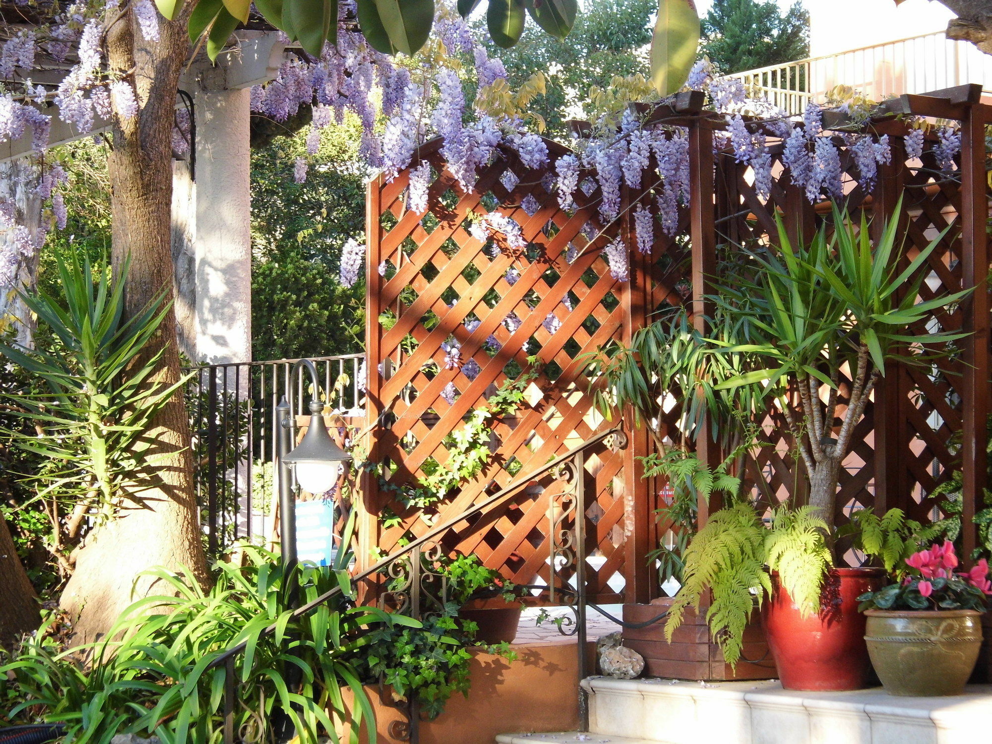 Anis Hotel Nice Exterior foto